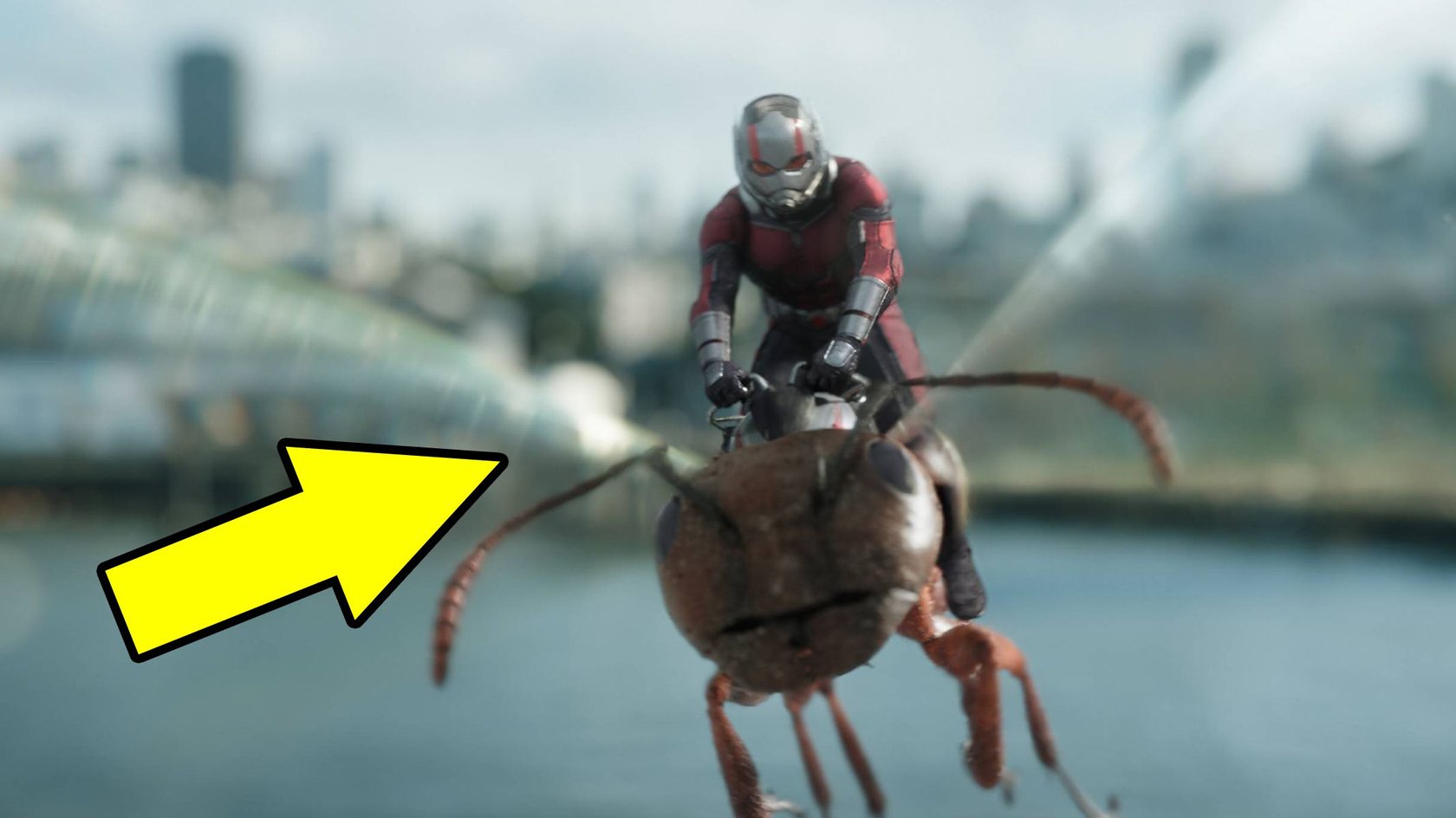 Ant-Man and the Wasp Fehler Marvel MCU Ant-Man and the Wasp Fehler Marvel MCU