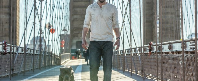 Die besten Filme ab 18 bei Netflix: Nur für Erwachsene Die besten Filme ab 18 bei Netflix: Nur für Erwachsene