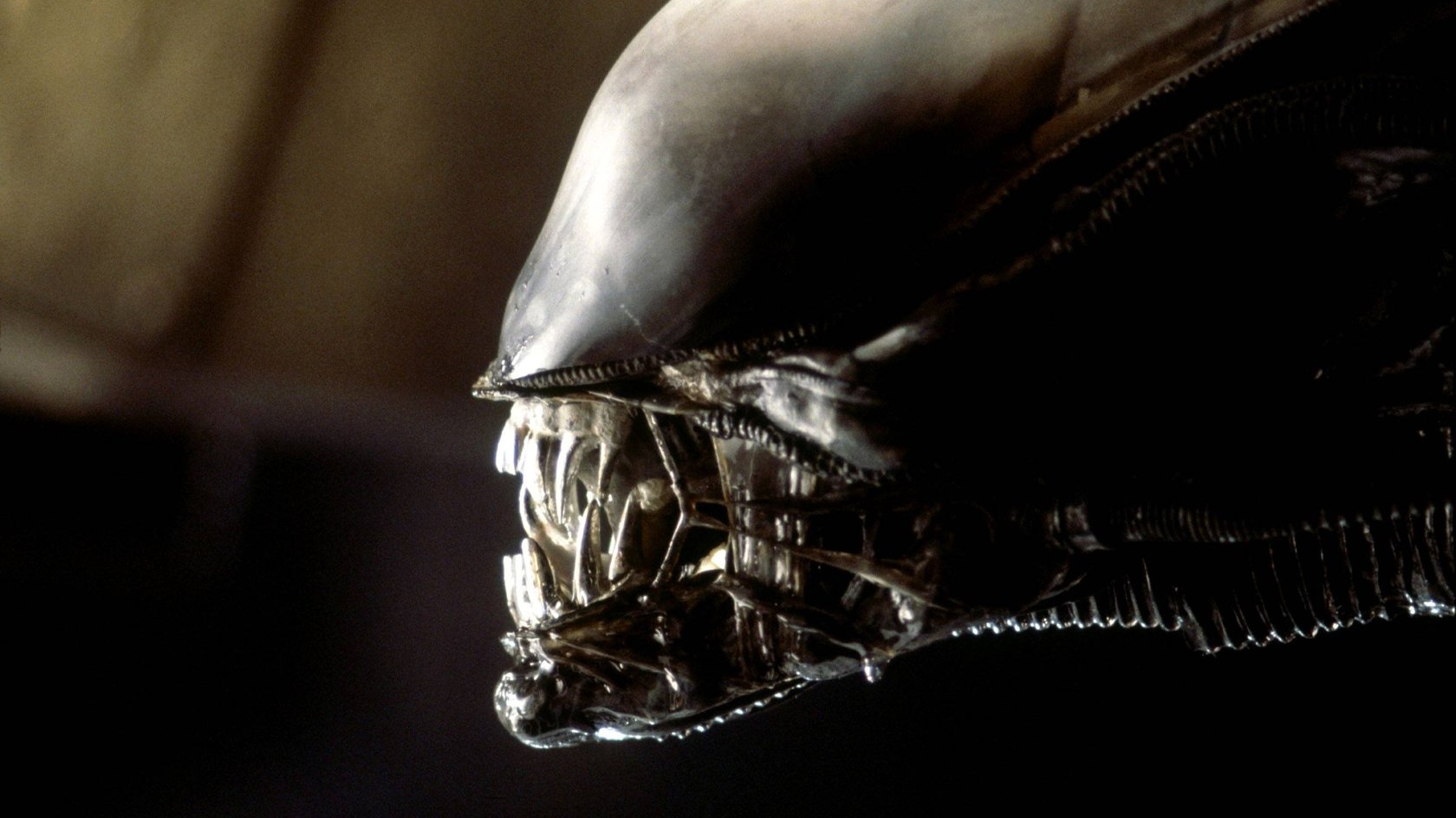 Bildnummer: 55209759 Datum: 05.08.1979 Copyright: imago/EntertainmentPictures
1979 - Alien: The Director s Cut - Movie Set Aug 05, 1979; London, UK; Scene from the sci-fi thriller Alien: The Directors Cut directed by Ridley Scott. !ACHTUNG NUTZUNG NUR BEI FILMTITEL-NENNUNG! PUBLICATIONxINxGERxONLY People Entertainment Film kbdig 1979 quer
Bildnummer 55209759 Date 05 08 1979 Copyright Imago EntertainmentPictures 1979 Alien The Director S Cut Movie Set Aug 05 1979 London UK Scene from The Sci Fi Thriller Alien The Directors Cut Directed by Ridley Scott Regard Use only at FILMTITEL ANSWER PUBLICATIONxINxGERxONLY Celebrities Entertainment Film Kbdig 1979 horizontal Bildnummer: 55209759 Datum: 05.08.1979 Copyright: imago/EntertainmentPictures
1979 - Alien: The Director s Cut - Movie Set Aug 05, 1979; London, UK; Scene from the sci-fi thriller Alien: The Directors Cut directed by Ridley Scott. !ACHTUNG NUTZUNG NUR BEI FILMTITEL-NENNUNG! PUBLICATIONxINxGERxONLY People Entertainment Film kbdig 1979 quer
Bildnummer 55209759 Date 05 08 1979 Copyright Imago EntertainmentPictures 1979 Alien The Director S Cut Movie Set Aug 05 1979 London UK Scene from The Sci Fi Thriller Alien The Directors Cut Directed by Ridley Scott Regard Use only at FILMTITEL ANSWER PUBLICATIONxINxGERxONLY Celebrities Entertainment Film Kbdig 1979 horizontal