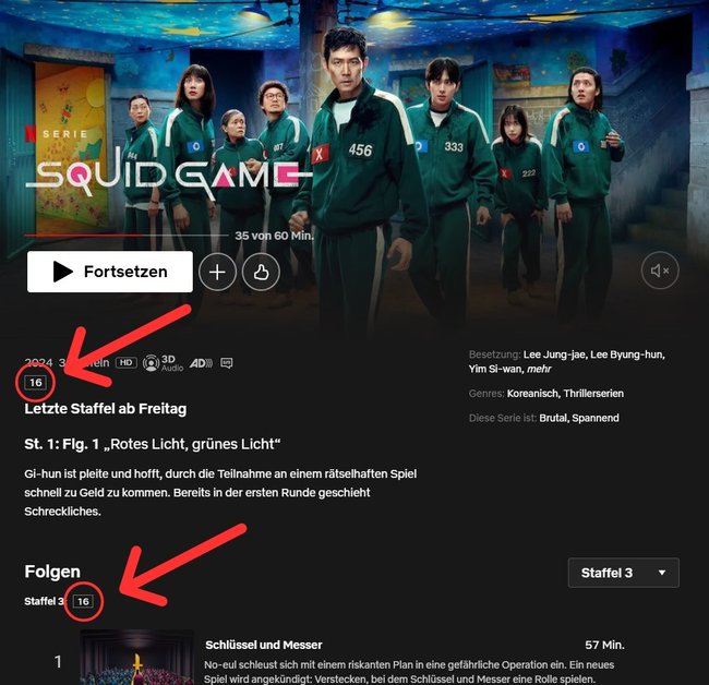 Die Altersfreigabe ab 16 Jahren ist auf der Netflix-Seite nur schwer lesbar. Die Altersfreigabe ab 16 Jahren ist auf der Netflix-Seite nur schwer lesbar.