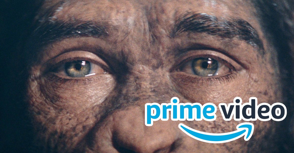 Einer der verrücktesten Filme aus 2024 sorgt bei Amazon für Furore