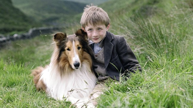 Lassie und Joe – Freundschaft für immer.