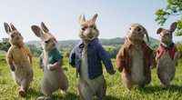 Osterhasen-Filme: 16 Filme über Hasen und Kaninchen – nicht nur zu den Feiertagen große Helden