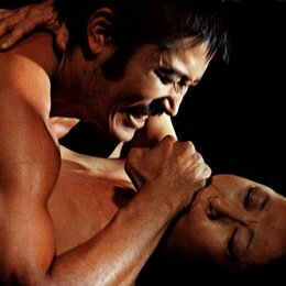Asian Erotic Collection: Im Reich der Sinne / Im Reich der Leidenschaft Poster