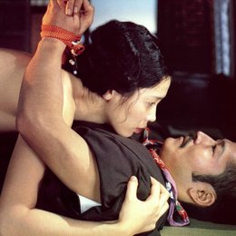 Asian Erotic Collection: Im Reich der Sinne / Im Reich der Leidenschaft Poster