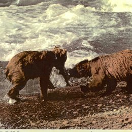 Alaska - Wildnis am Rande der Welt Poster