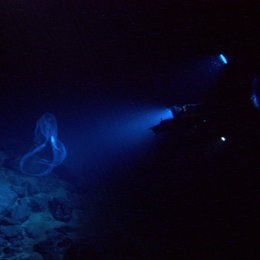 Aliens der Meere (IMAX) Poster