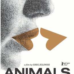 Animals - Stadt Land Tier Poster