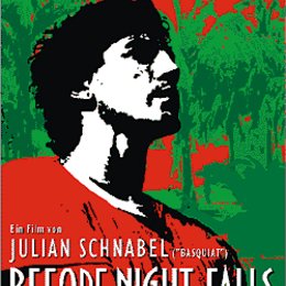 Before Night Falls Poster