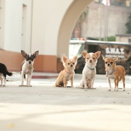 Beverly Hills Chihuahua 2 Poster