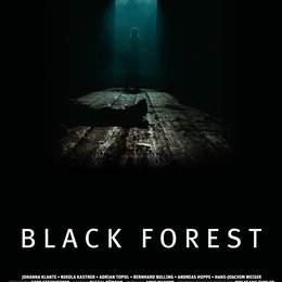 Black Forest Poster