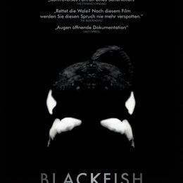 Blackfish Poster
