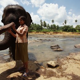 Chandani und ihr Elefant Poster