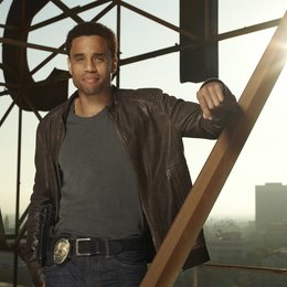 Common Law / Michael Ealy Poster