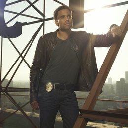 Common Law / Michael Ealy Poster