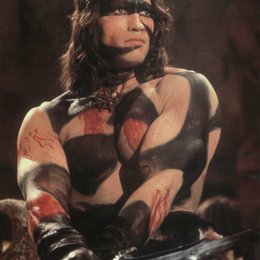 Conan der Barbar / Arnold Schwarzenegger Poster