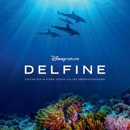 delfine-2 Poster