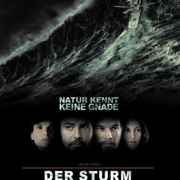 Sturm, Der Poster
