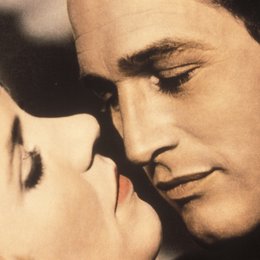 zerrissene Vorhang, Der / Julie Andrews / Paul Newman Poster
