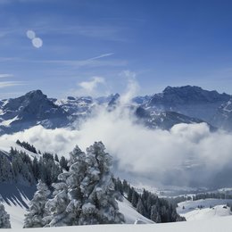 Alpen - Unsere Berge von oben, Die Poster
