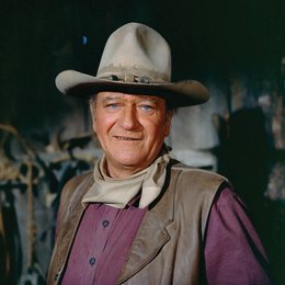 Cowboys, Die / John Wayne Poster
