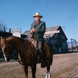 Cowboys, Die / John Wayne Poster