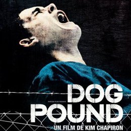 Dog Pound Poster