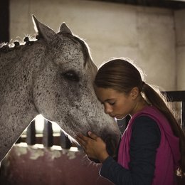 Pferd für Klara, Ein Poster