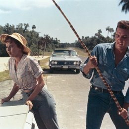 Sommer in Florida, Ein / Anne Helm / Elvis Presley Poster