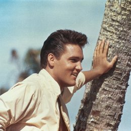 Sommer in Florida, Ein / Elvis Presley Poster