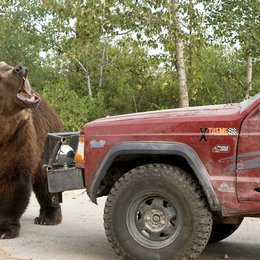 Grizzly Rage - Die Rache der Bärenmutter Poster