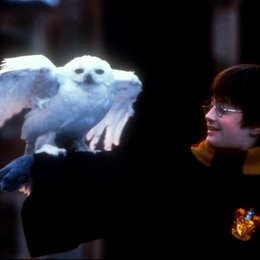 Harry Potter und der Stein der Weisen / Harry Potter 1-6 Poster