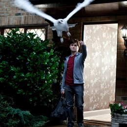 Harry Potter und die Heiligtümer des Todes Teil 1 / Daniel Radcliffe / Rupert Grint / Emma Watson Poster