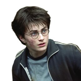 Harry Potter und der Gefangene von Askaban / Daniel Radcliffe - freigestellt Poster