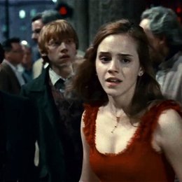 Harry Potter und die Heiligtümer des Todes Teil 1 / Daniel Radcliffe / Emma Watson Poster