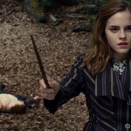 Harry Potter und die Heiligtümer des Todes Teil 1 / Emma Watson Poster