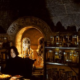 Harry Potter und die Kammer des Schreckens / Alan Rickman "Professor Severus Snape" Poster