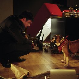 Hunde haben kurze Beine (ZDF) / Tim Bergmann Poster