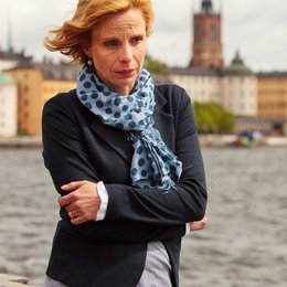 Inga Lindström: Die Hochzeit meines Mannes (ZDF / ORF) / Julia Jäger Poster