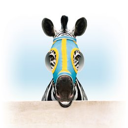 Im Rennstall ist das Zebra los! / Racing Stripes - freigestellt Poster