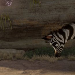 Khumba - Das Zebra ohne Streifen am Popo Poster