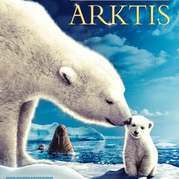 Königreich Arktis Poster