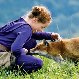 Fuchs und das Mädchen / Der Junge und der Wolf, Der Poster