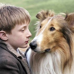 Lassie kehrt zurück Poster