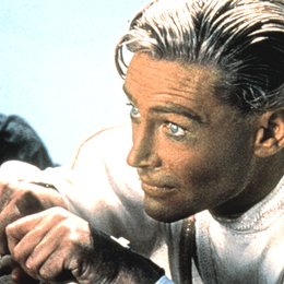 Lawrence von Arabien / Peter O'Toole Poster
