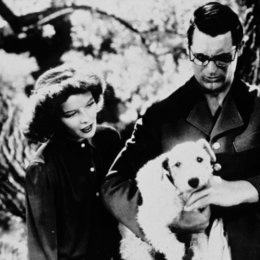 Leoparden küßt man nicht / Katharine Hepburn / Cary Grant / Bringing Up Baby Poster