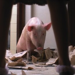 Magere Zeiten - Der Film mit dem Schwein Poster