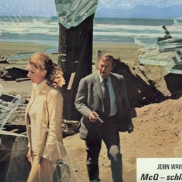 McQ schlägt zu / Diana Muldaur / John Wayne Poster
