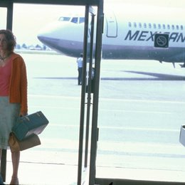Mexican - Eine heiße Liebe / Julia Roberts / Flughafen Poster