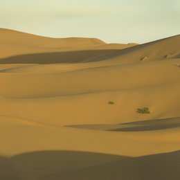 Prince of Persia - Der Sand der Zeit Poster